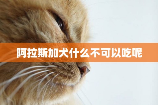 阿拉斯加犬什么不可以吃呢