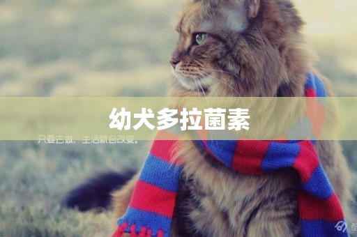 幼犬多拉菌素