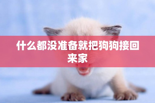 什么都沒準備就把狗狗接回來家