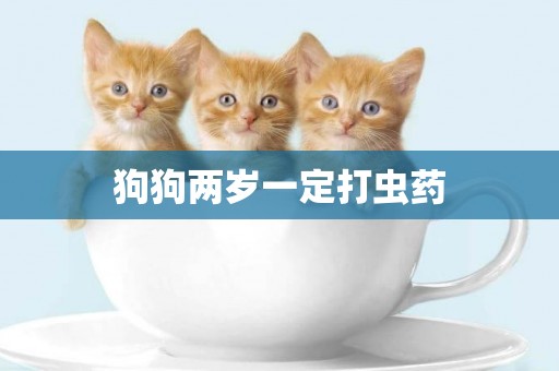 狗狗兩歲一定打蟲藥
