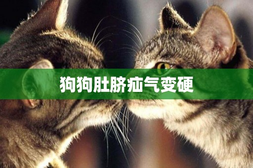 狗狗肚臍疝氣變硬