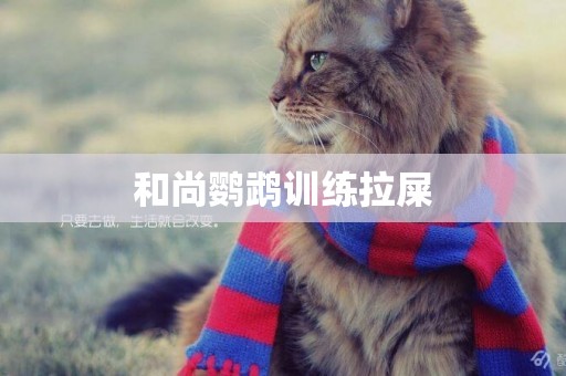 和尚鸚鵡訓練拉屎