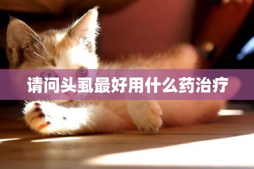 請問頭虱最好用什么藥治療