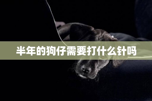 半年的狗仔需要打什么針嗎