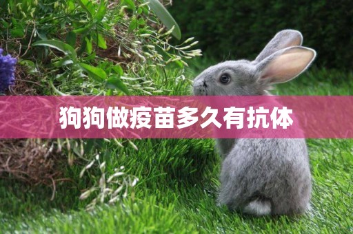 狗狗做疫苗多久有抗體
