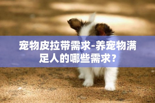 寵物皮拉帶需求-養寵物滿足人的哪些需求？