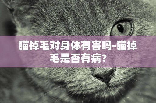 貓掉毛對身體有害嗎-貓掉毛是否有病？