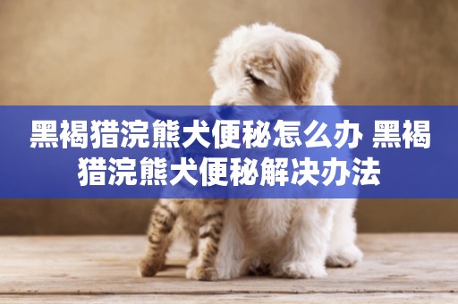 黑褐獵浣熊犬便秘怎么辦 黑褐獵浣熊犬便秘解決辦法