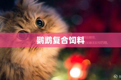 鸚鵡復合飼料