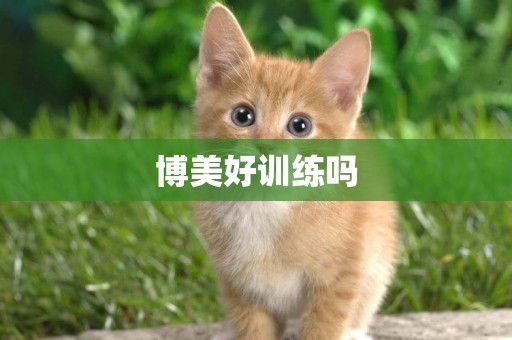 博美好訓練嗎