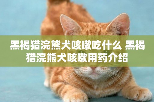 黑褐獵浣熊犬咳嗽吃什么 黑褐獵浣熊犬咳嗽用藥介紹