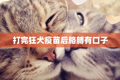 打完狂犬疫苗后胳膊有口子