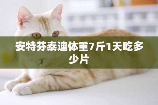 安特芬泰迪體重7斤1天吃多少片