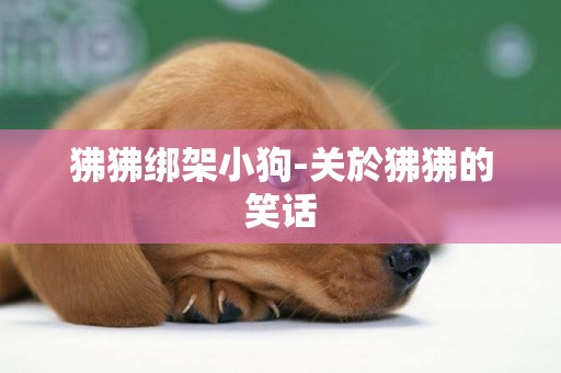 狒狒綁架小狗-關於狒狒的笑話