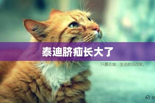 泰迪臍疝長大了