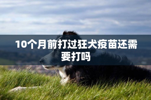 10個月前打過狂犬疫苗還需要打嗎