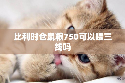 比利時倉鼠糧750可以喂三線嗎