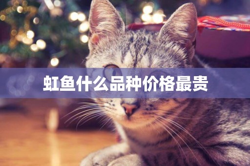 虹魚什么品種價格最貴