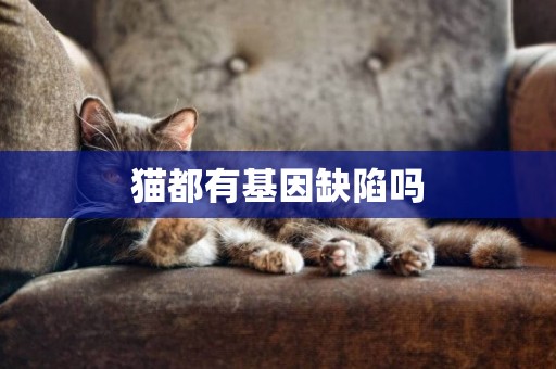 貓都有基因缺陷嗎