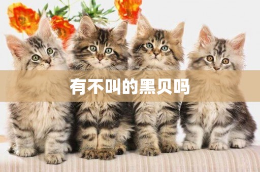 有不叫的黑貝嗎