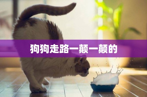 狗狗走路一顛一顛的