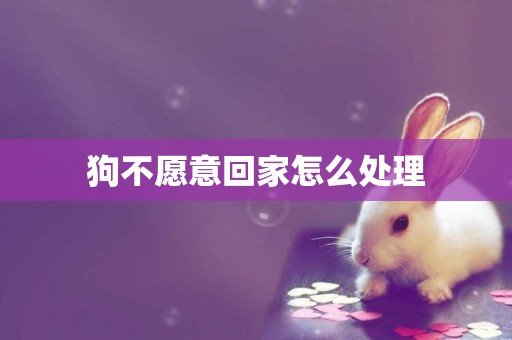 狗不愿意回家怎么處理
