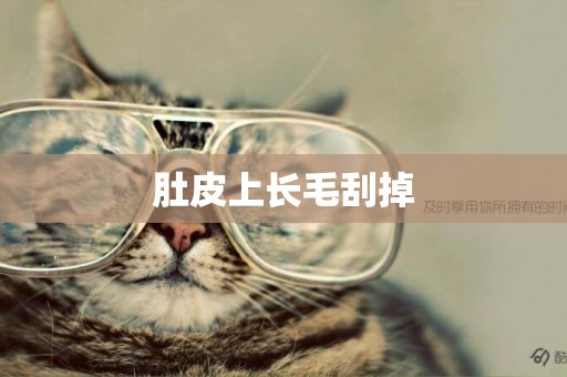 肚皮上長毛刮掉
