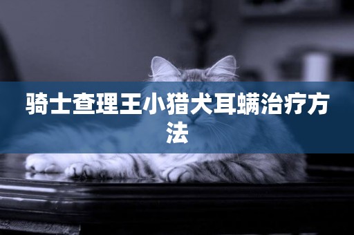 騎士查理王小獵犬耳螨治療方法