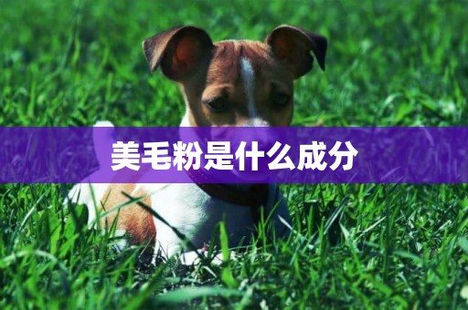美毛粉是什么成分