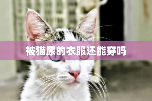 被貓尿的衣服還能穿嗎