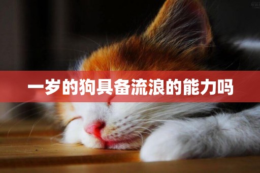 一歲的狗具備流浪的能力嗎