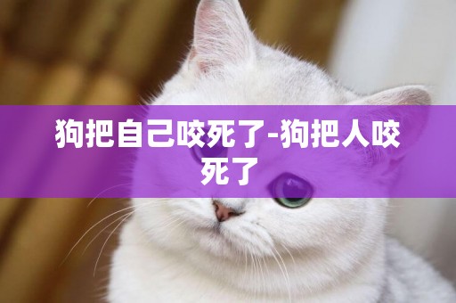 狗把自己咬死了-狗把人咬死了