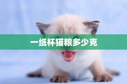 一紙杯貓糧多少克