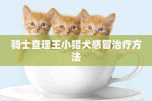 騎士查理王小獵犬感冒治療方法