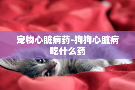 寵物心臟病藥-狗狗心臟病吃什么藥