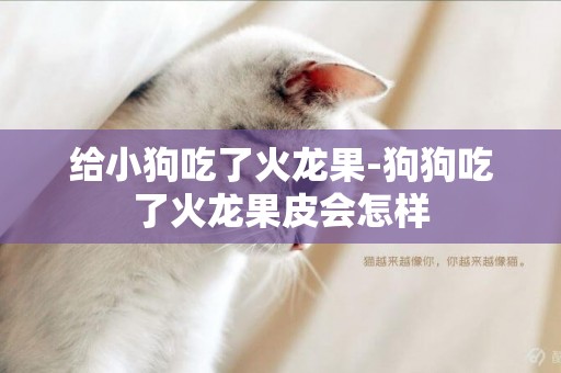 給小狗吃了火龍果-狗狗吃了火龍果皮會怎樣