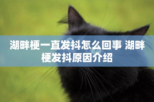 湖畔梗一直發抖怎么回事 湖畔梗發抖原因介紹
