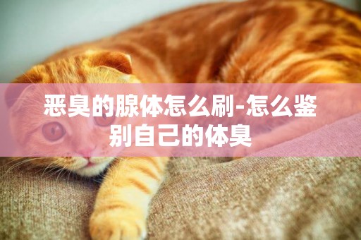 惡臭的腺體怎么刷-怎么鑒別自己的體臭