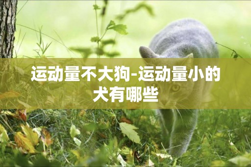 運動量不大狗-運動量小的犬有哪些