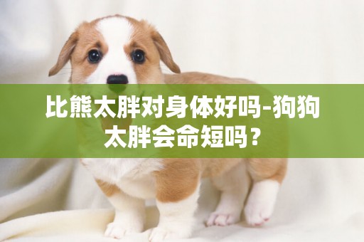 比熊太胖對身體好嗎-狗狗太胖會命短嗎？