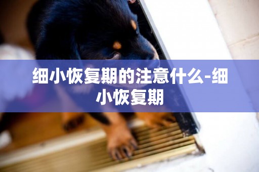 細小恢復期的注意什么-細小恢復期