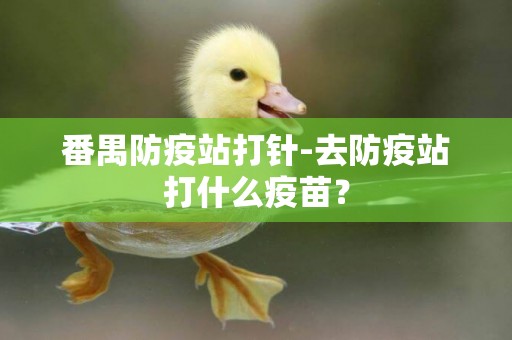 番禺防疫站打針-去防疫站打什么疫苗？