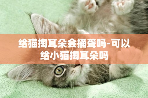 給貓掏耳朵會捅聾嗎-可以給小貓掏耳朵嗎