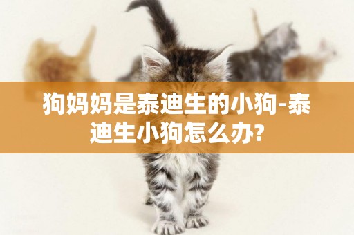 狗媽媽是泰迪生的小狗-泰迪生小狗怎么辦?