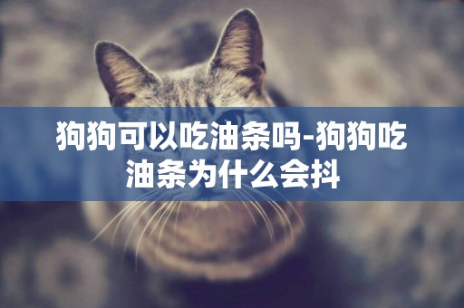 狗狗可以吃油條嗎-狗狗吃油條為什么會抖