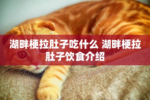 湖畔梗拉肚子吃什么 湖畔梗拉肚子飲食介紹