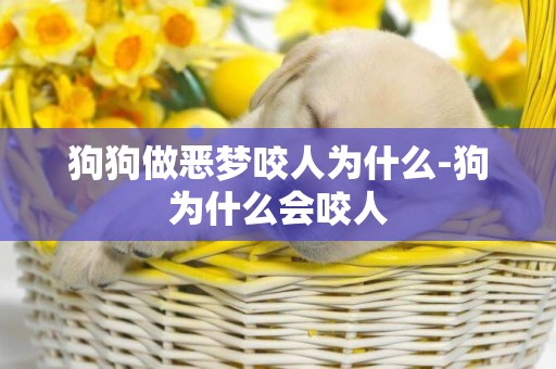 狗狗做惡夢咬人為什么-狗為什么會咬人