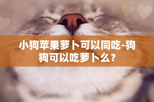 小狗蘋果蘿卜可以同吃-狗狗可以吃蘿卜么？