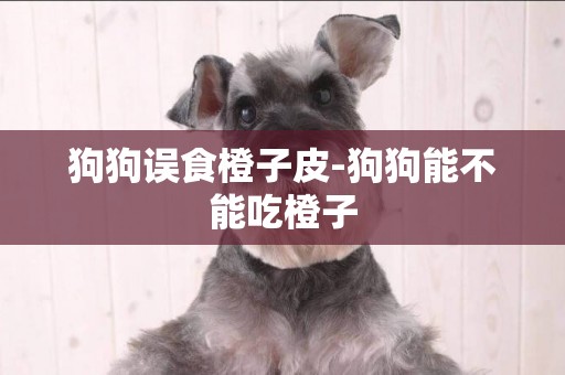狗狗誤食橙子皮-狗狗能不能吃橙子