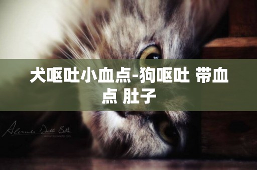 犬嘔吐小血點-狗嘔吐 帶血點 肚子